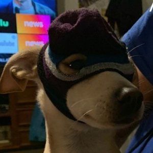 Meet your Posher, Danny